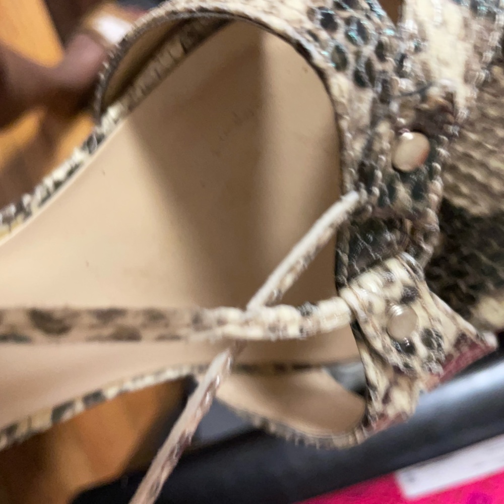 🔥Snake 🐍 Skin Shoes - Picture 7 of 8